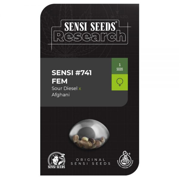 Sensi Seeds 741 web1 BSS.062