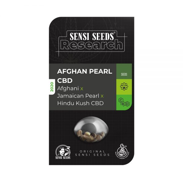 Sensi Seeds Research Afghan Pearl CBD BSS.072