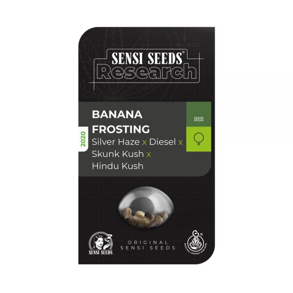 Sensi Seeds Research Banana Frosting BSS.064 coov f6 1a70 pu