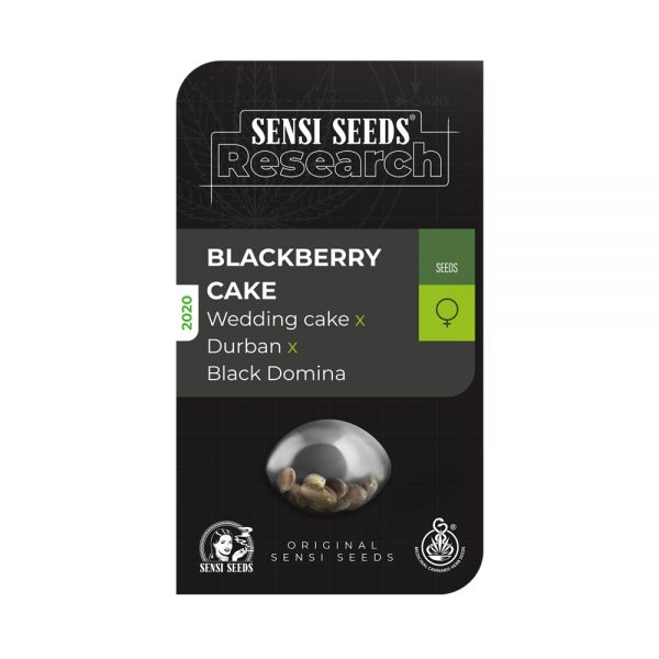 Sensi Seeds Research Blackberry Cake BSS.065