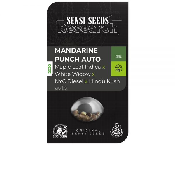Sensi Seeds Research Mandarine Punch Auto BSS.069 6im7 f4 38py sf